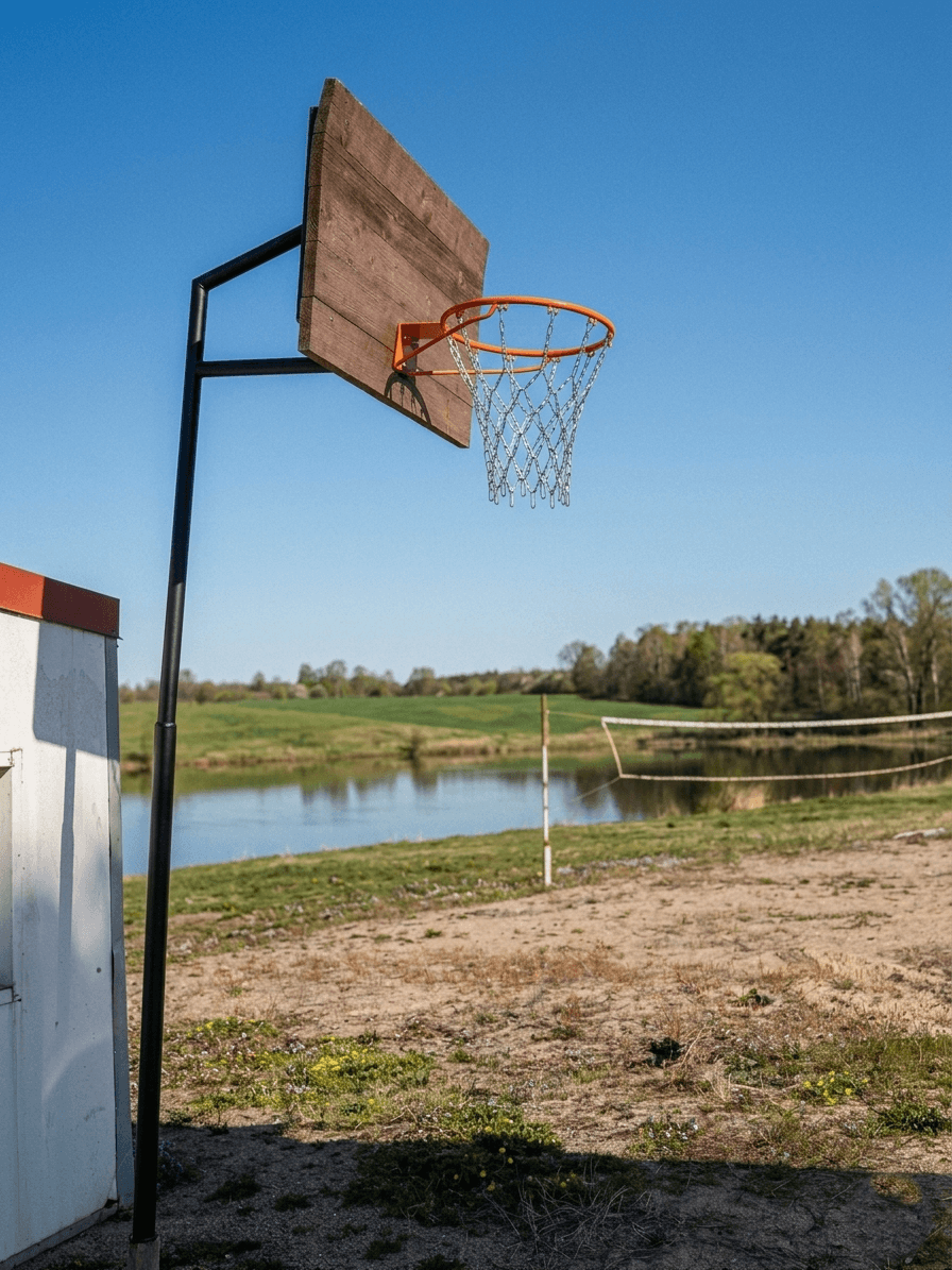 Территория базы отдыха «Комфорт»: лес, домики и тропы